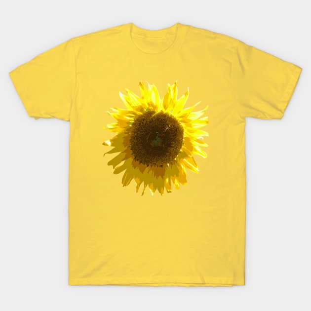 Sunflower T-Shirt by hobrath